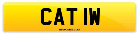 CAT 1W