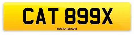 CAT 899X