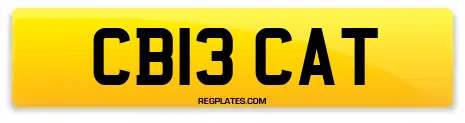 CB13 CAT