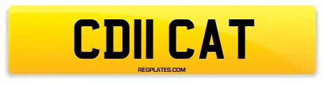 CD11 CAT