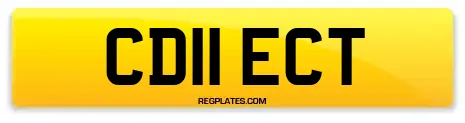 CD11 ECT