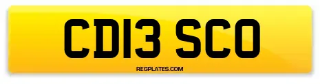 CD13 SCO