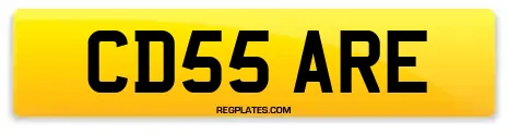 CD55 ARE