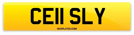 CE11 SLY