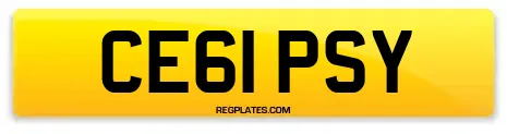 CE61 PSY