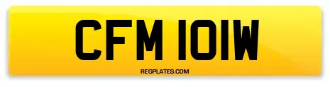 CFM 101W