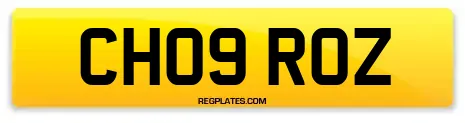 CH09 ROZ