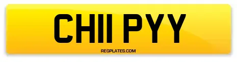 CH11 PYY