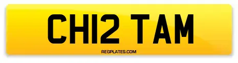 CH12 TAM