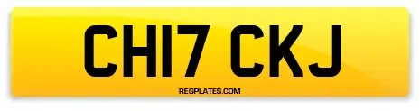 CH17 CKJ