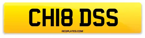 CH18 DSS