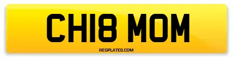 CH18 MOM