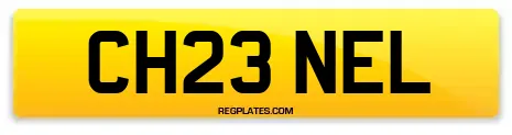 CH23 NEL