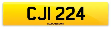 CJI 224