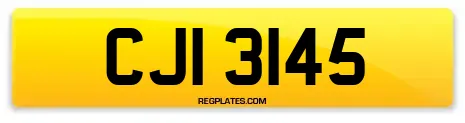 CJI 3145
