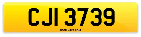 CJI 3739