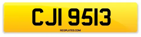 CJI 9513