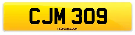 CJM 309