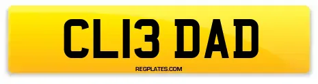 CL13 DAD