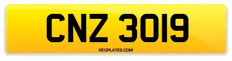CNZ 3019