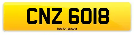 CNZ 6018