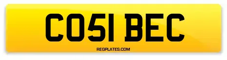 CO51 BEC