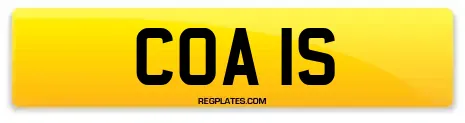 COA 1S