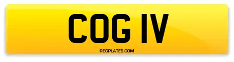 COG 1V