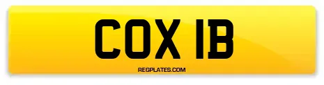 COX 1B