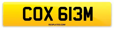 COX 613M