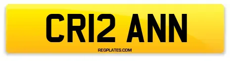 CR12 ANN
