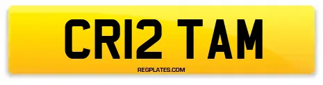 CR12 TAM