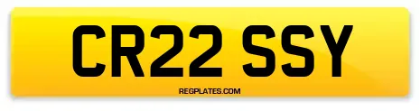 CR22 SSY