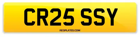 CR25 SSY