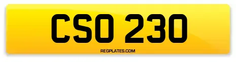 CSO 230