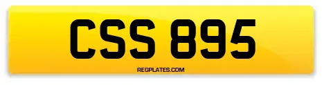 CSS 895