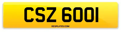 CSZ 6001
