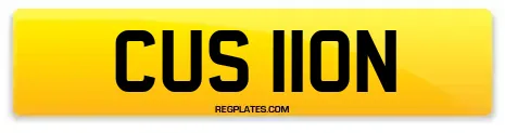 CUS 110N