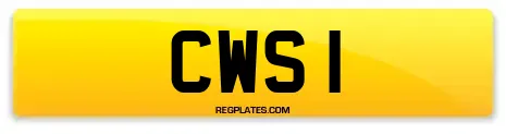CWS 1