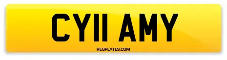 CY11 AMY