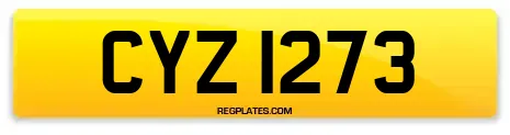 CYZ 1273