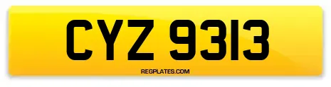 CYZ 9313