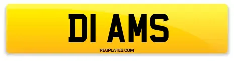D1 AMS