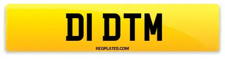 D1 DTM