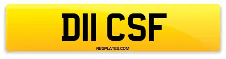 D11 CSF