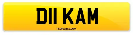 D11 KAM