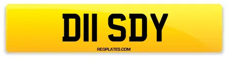 D11 SDY