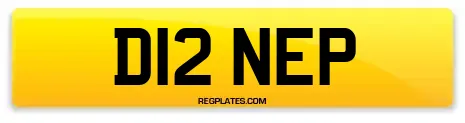 D12 NEP