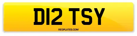 D12 TSY