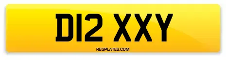 D12 XXY